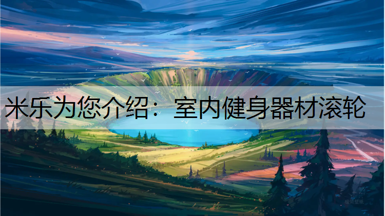 <strong>米乐为您介绍：室内健身器材滚轮</strong>