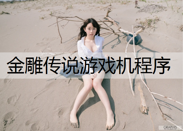 <strong>金雕传说游戏机程序</strong>