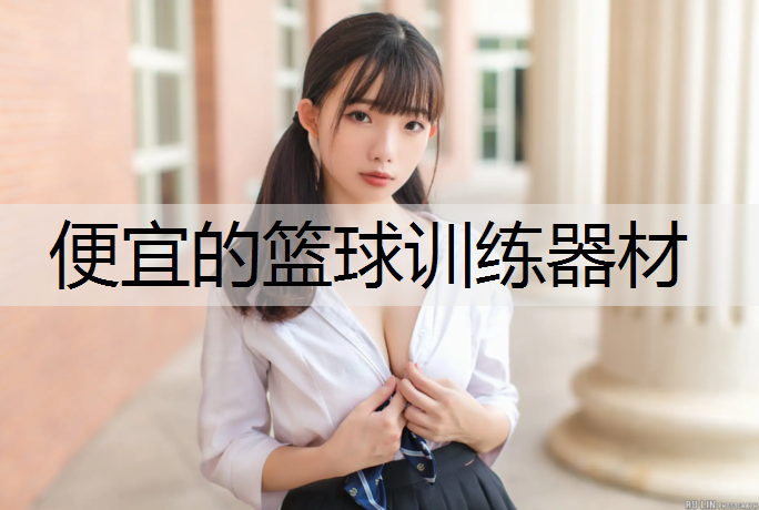 便宜的篮球训练器材