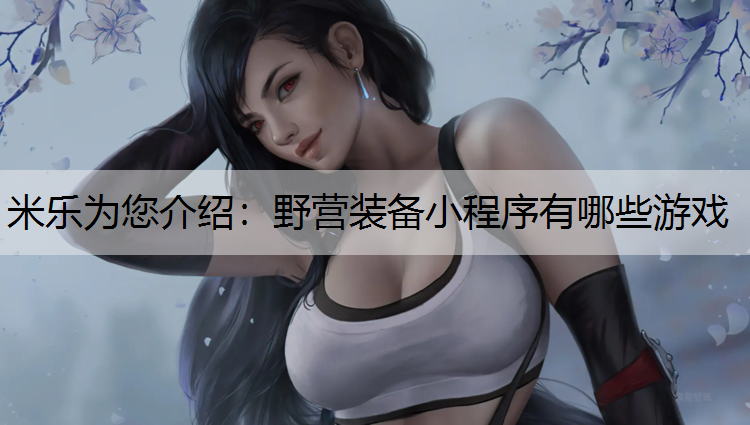 野营装备小程序有哪些游戏